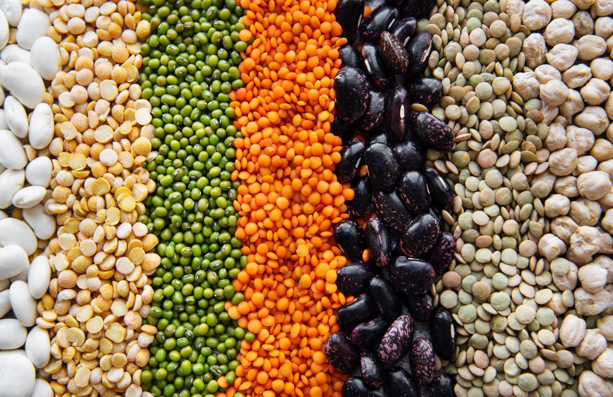 Rows of brightly colored legumes for Ronnie Stangler MD Good reads page regarding Healthy Diet Can Extend Life at Any Age.