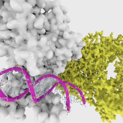 Abstract representation of DNA with epigenetic markers for Ronnie Stangler MD media and events page regarding her presentation Using Epigenetics to Optimize Wellbeing From the Inside Out.